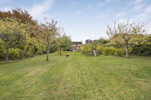 Photo 19- click for photo gallery